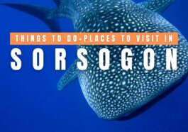 Things to do in Sorsogon + Tourist Spots