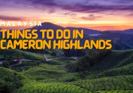 Things to do in Cameron Highlands