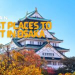 Best Places to visit in Oksaka