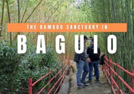 Baguio Bamboo Sanctuary