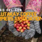 Balutakay Coffee Farmers Association in Davao del Sur
