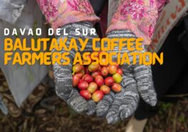 Balutakay Coffee Farmers Association in Davao del Sur