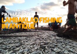 Lambaklad Fishing in Tibiao, Antique