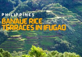 Rice Terraces in Banaue Ifugao
