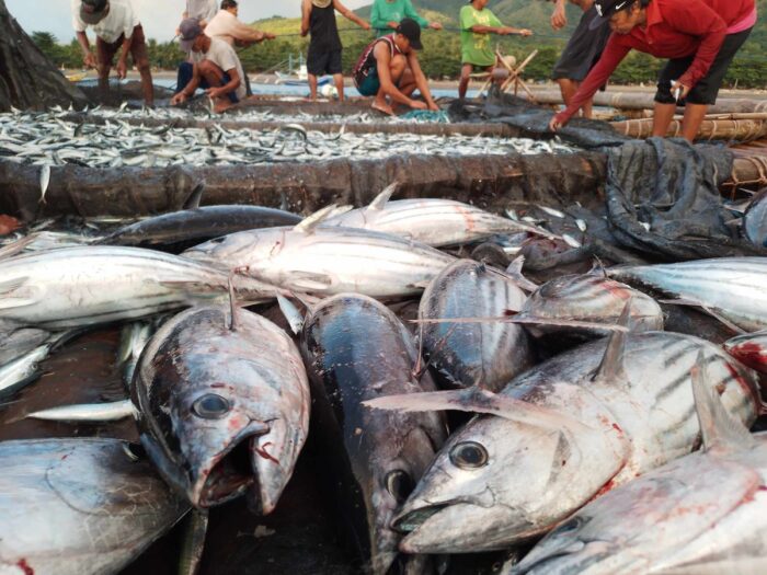Traditional Lambaklad Fishing by Flord Nicson J. Calawag