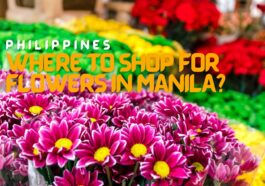 Where to Shop for Flowers in Manila?