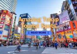 Amazing Tokyo Tourist Spots