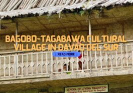 Bagobo-Tagabawa Cultural Village in Davao Del Sur
