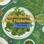 Health Benefits of eating Fiddlehead Fern