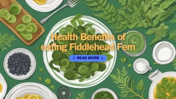 Health Benefits of eating Fiddlehead Fern