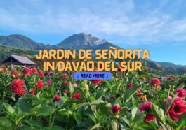 Jardin De Señorita: Netherland's Inspired Nature Escape in Davao del Sur