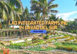 Lao Integrated Farms Inc in Davao del Sur