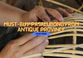 Must-Buy Pasalubong from Antique Province