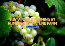 Sustainable Farming at Humbled By Nature Farm