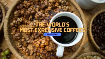 The World's Most Expensive Coffees