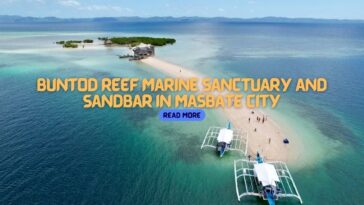 Buntod Reef Marine Sanctuary and Sandbar in Masbate City - 1