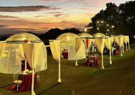 Enchanted Evenings in the Gazebo