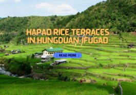 Hapao Rice Terraces in Hungduan, Ifugao