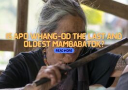 Is Apo Whang-od really the last and oldest Mambabatok?