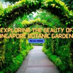 Exploring the Beauty of Singapore Botanic Gardens