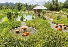 Kinaiyahan Nature Farms in Bilar