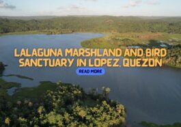 Lalaguna Marshland and Bird Sanctuary in Quezon