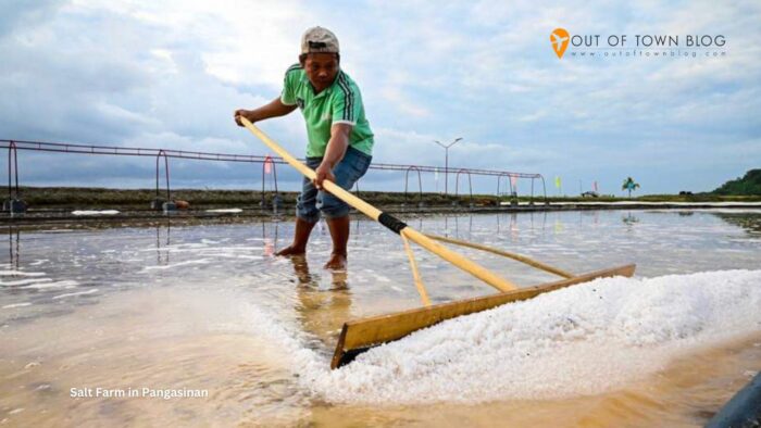 Salt Farm in Pangasinan photo via pangasinan.gov.ph