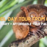 Bohol Day Tour from Cebu