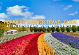 Hokkaido Summer Travel Guide