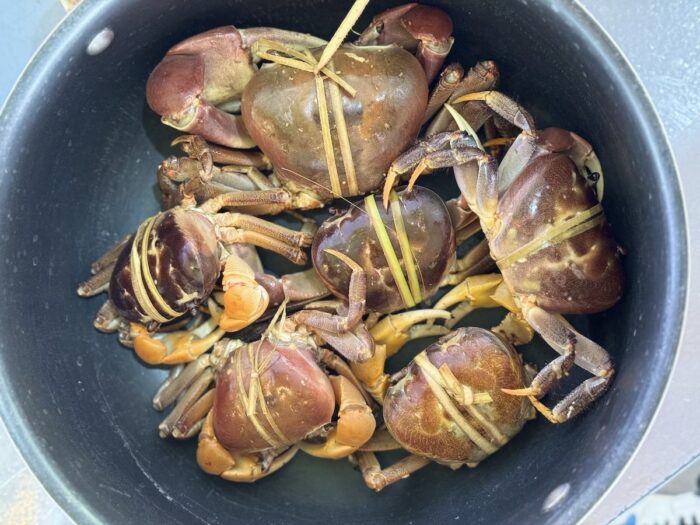 Kuray or Land Crabs