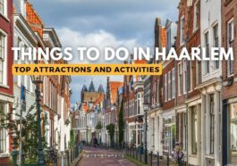 Best Things to Do in Haarlem