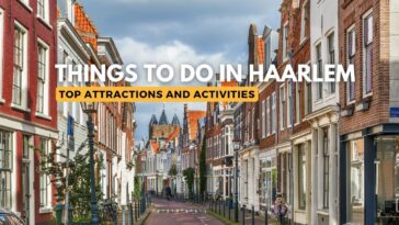 Best Things to Do in Haarlem