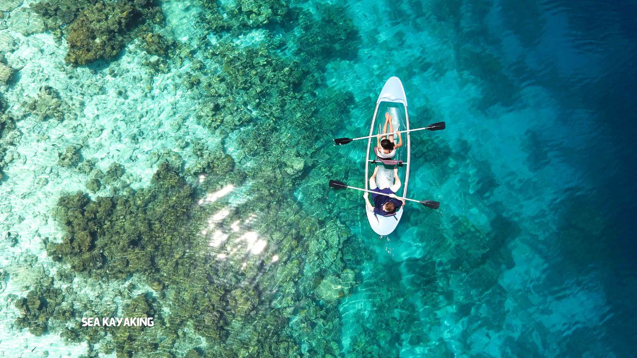 Sea Kayaking