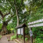 Lai Chi Wo Special Area