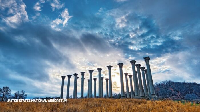 United States National Arboretum