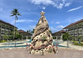 Four Points Palawan's Sustainable Christmas Tree