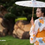 Incredible Trip to Japan