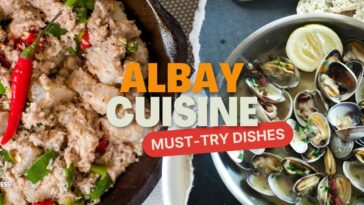 Dishes and Delicacies to Try during your trip to Albay