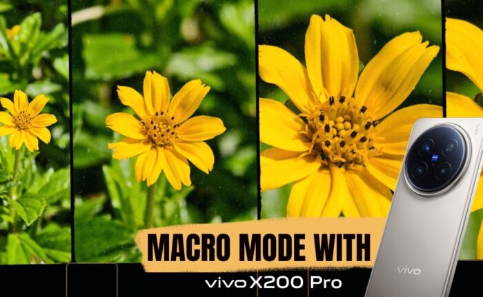 vivo X200 Pro Delivers Flawless Macro Photos