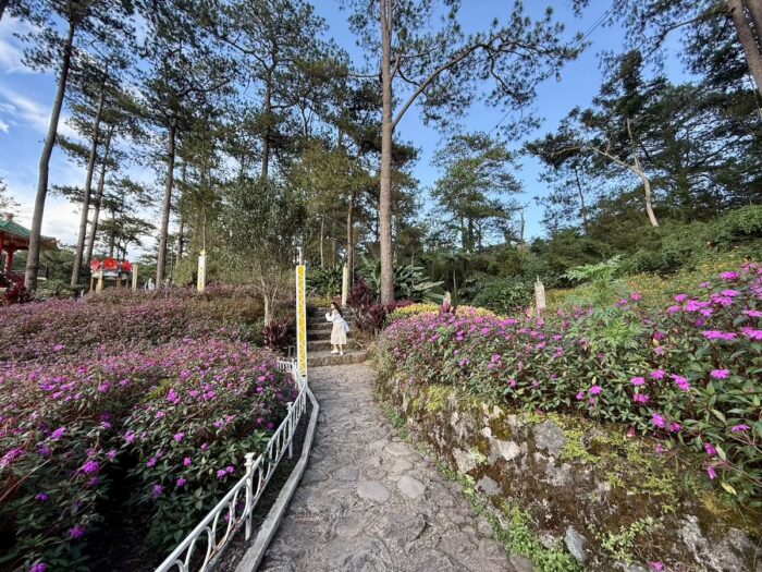 Baguio City Botanical Garden