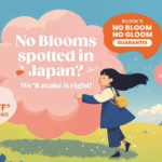 Filipinos don’t see Cherry Blossoms despite planning For It