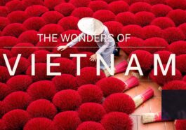 The Wonders of Vietnam