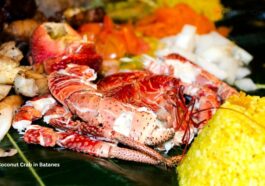 Coconut Crab in Batanes
