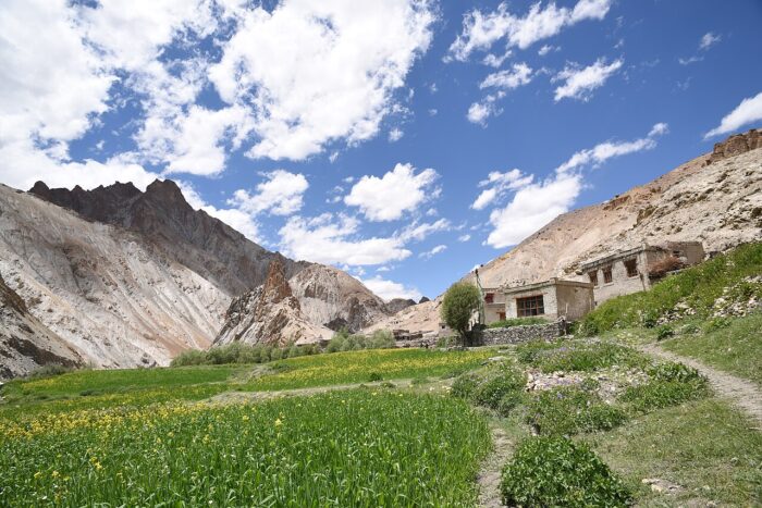 Markha Valley