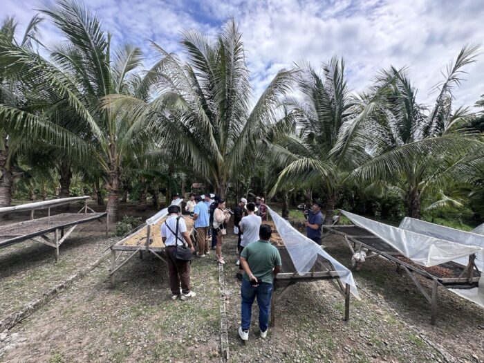 Davao Through Coffee and Cacao At the Coffee for Peace Training Center