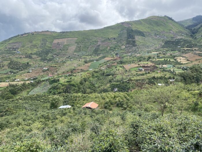 Davao Through Coffee and Cacao Dubria Coffee Farm at the foot of Mt. Apo
