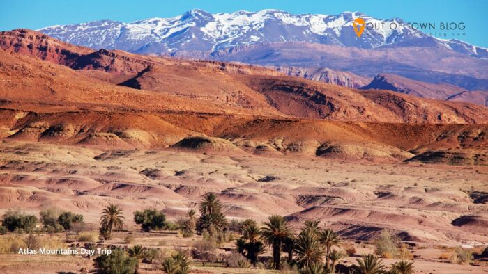 Atlas Mountains Day Trip