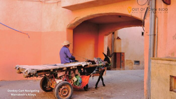 Donkey Cart Navigating Marrakesh's Alleys