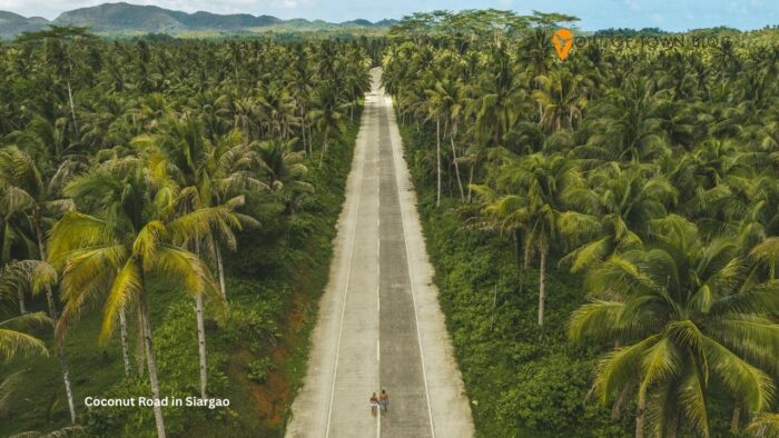 Coconut Road in Siargao