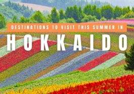 Destinations to Visit in Hokkaido This Summer
